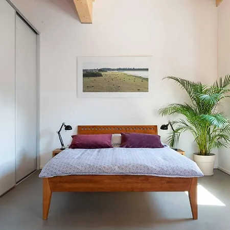 Apartment In Bilk *